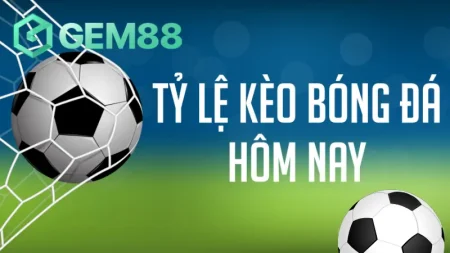 Tổng quan về tỷ lệ kèo hôm nay